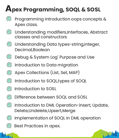Salesforce Module 4