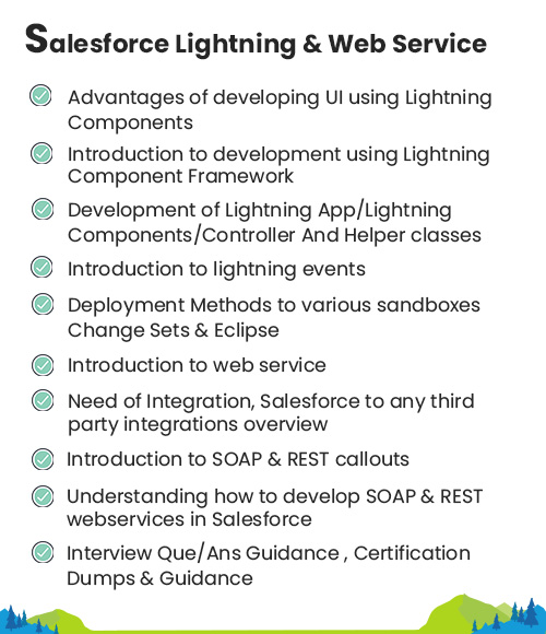 Salesforce Module 6