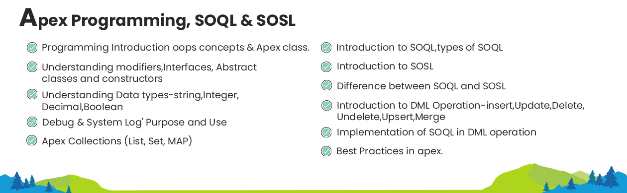 Salesforce Module 4