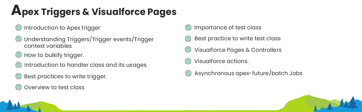 Salesforce Module 5