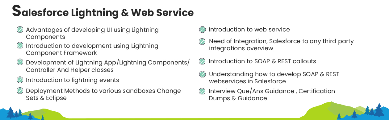 Salesforce Module 6