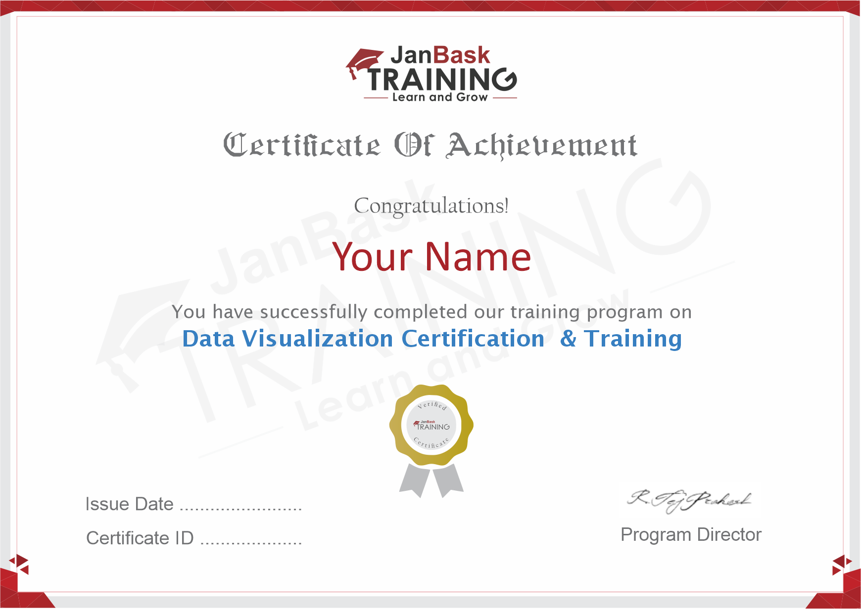 Data-Visualization-Certification-and-Training Certificate icon