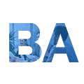 BA Self-learning Course Icon
