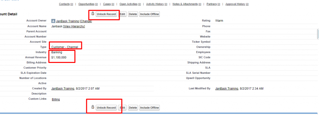 Account Janbask Salesforce Developer Edition
