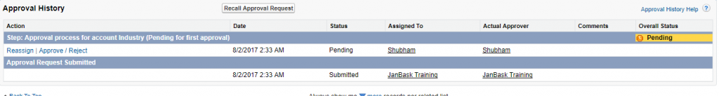Account Janbask Salesforce Developer Edition
