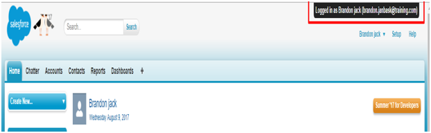 What is custom setting in Salesforce