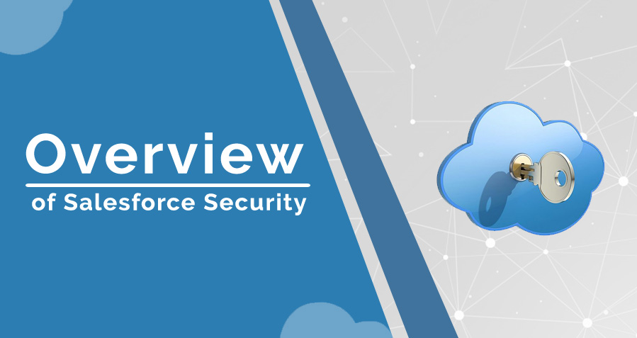 A Basic Overview for Salesforce Security image
