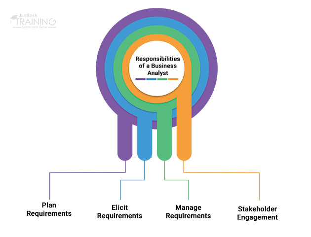 What are the responsibilities of a Business Analyst?