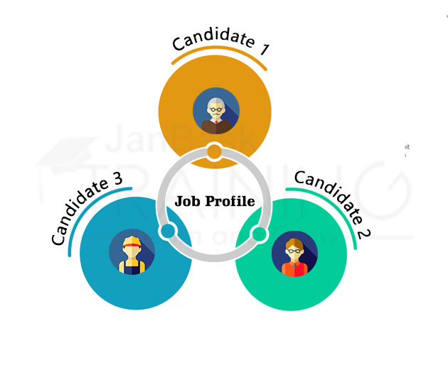 Job Profile