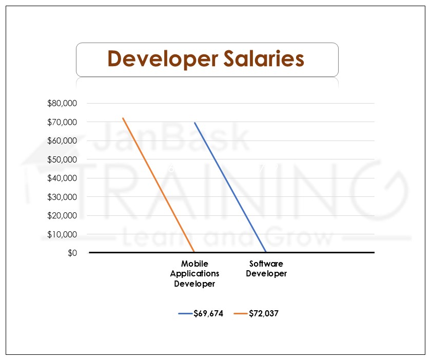 Developer Salaries