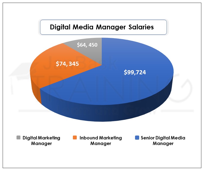 What Is The Average Salary of Digital Marketers in 2024 SMO & SEO