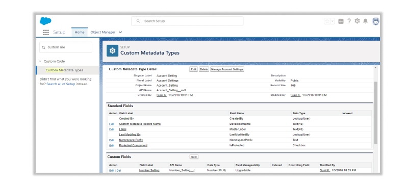 custom metadata type