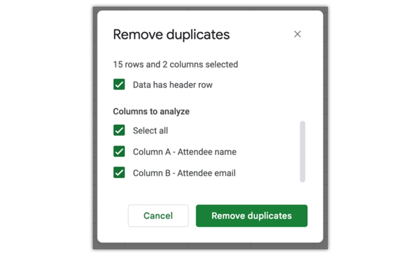 Learn How To Remove Duplicates in Excel