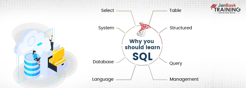 Why Learn SQL