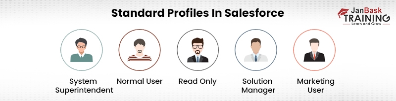 Describe the several Standard Profiles in Salesforce?