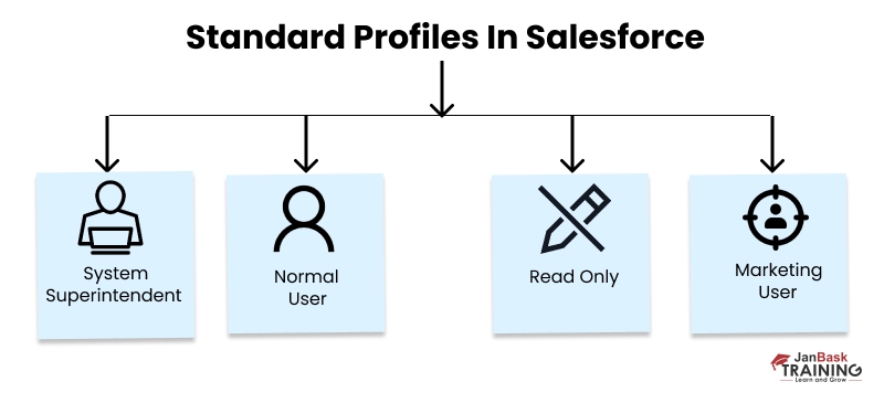 standard profiles in salesforce
