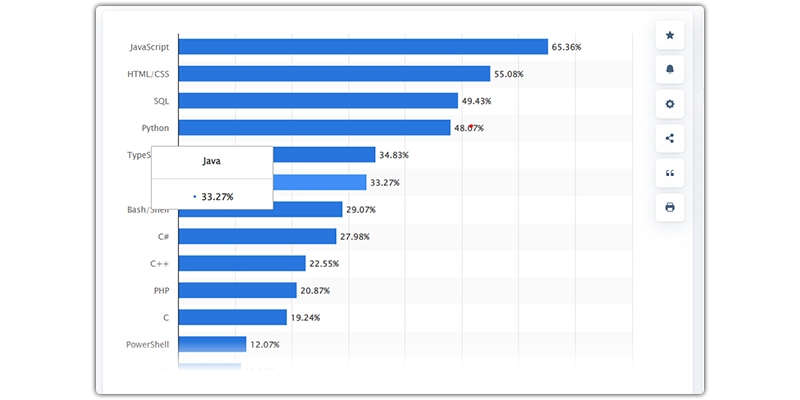 Java Programming Language