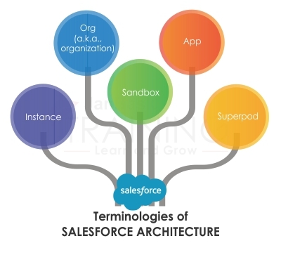 Terminologies of Salesforce Architecture