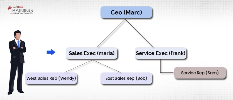 Salesforce Record Level Data Security