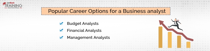 Popular Career Options for a Business analyst