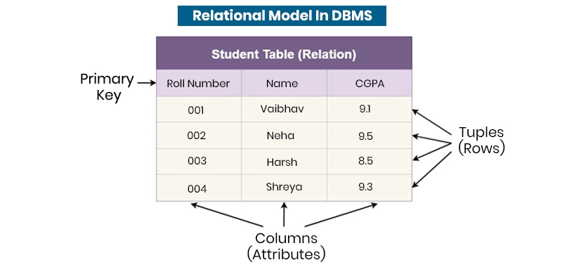 Decoding Relational Database Management System